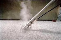 Expert Carpet Cleaner 350250 Image 3